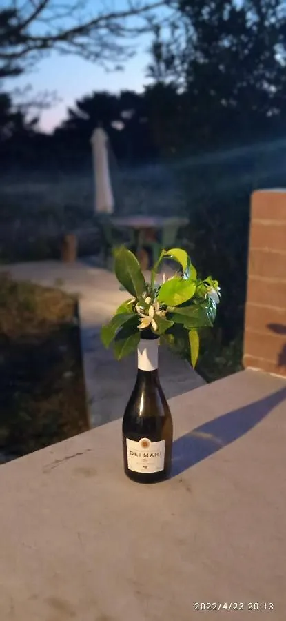 Casa de Férias Sogni Nel Blu Favignana Vila