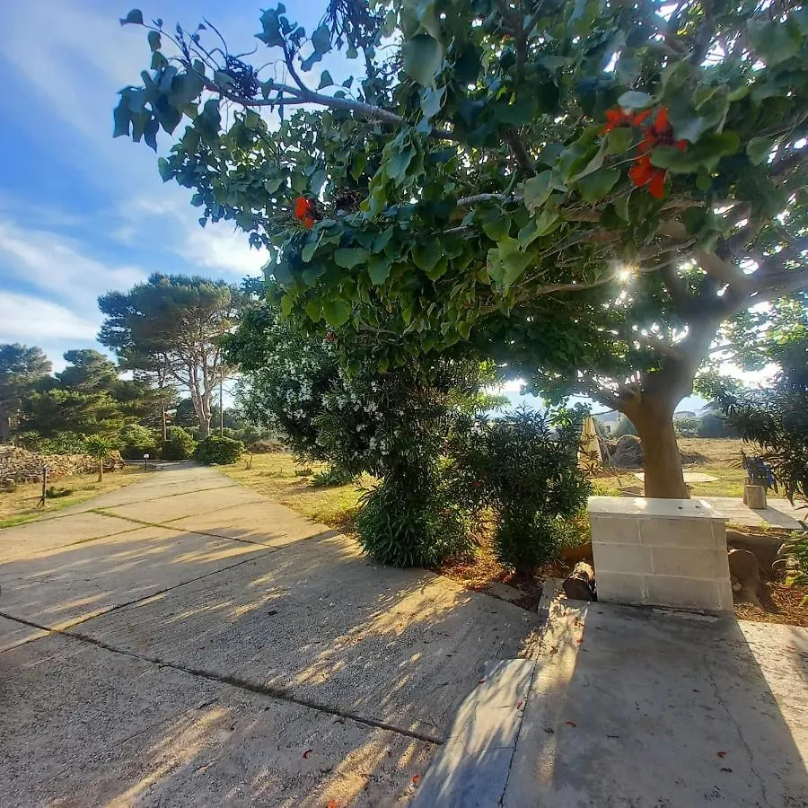 Sogni Nel Blu Favignana Villa 0*,