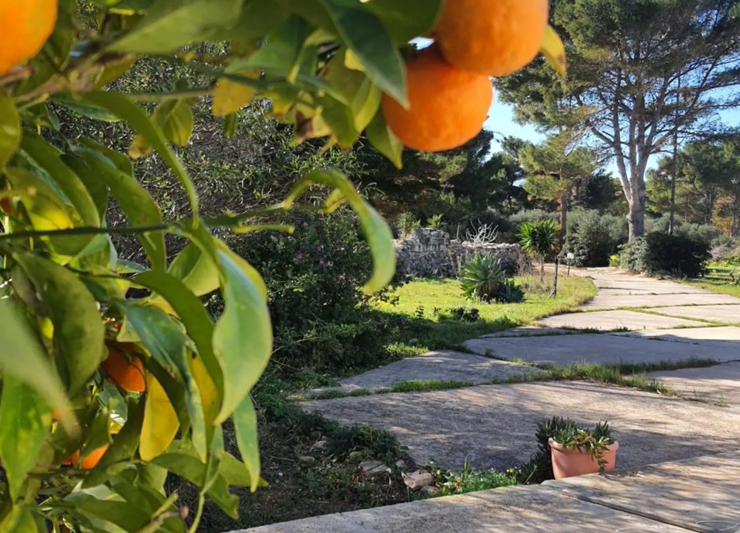 Sogni Nel Blu Favignana Villa Holiday home